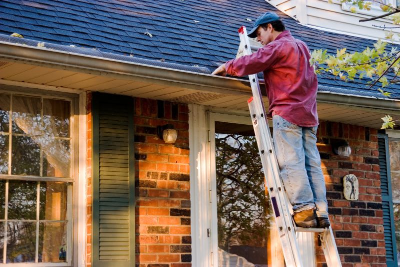 Summer Roofing Maintenance