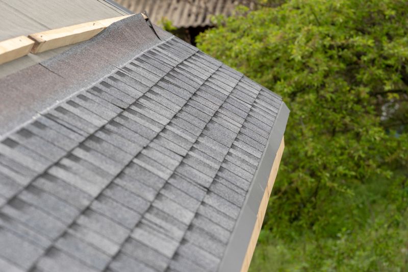 Shingles Repair