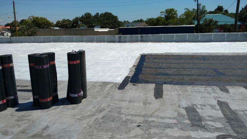 Tpo Roof Coating Service