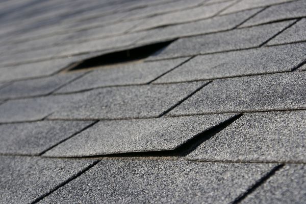 Shingle Replacement Service in East Hartford