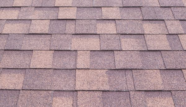 Composite Shingle Replacement in East Hartford